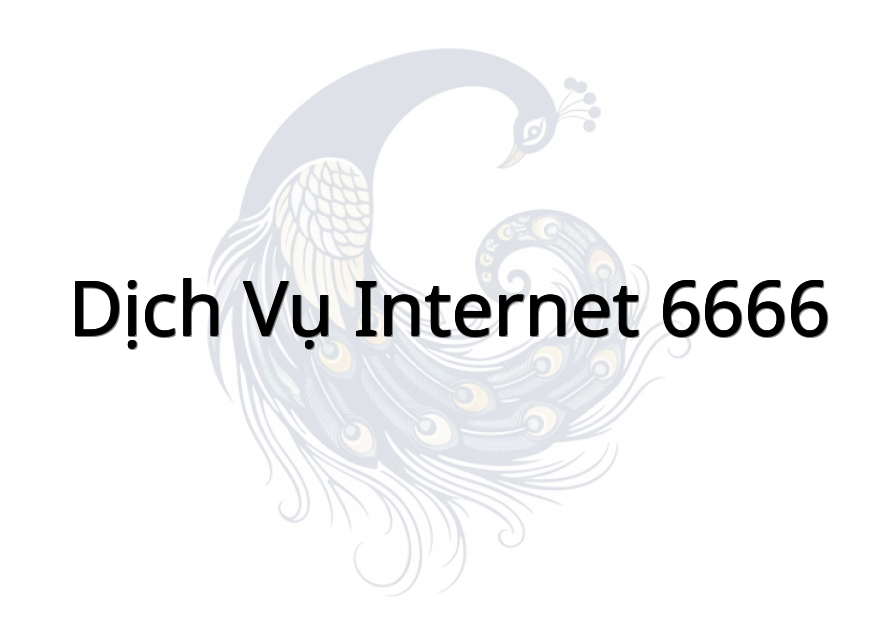 Dịch Vụ Internet 6666
