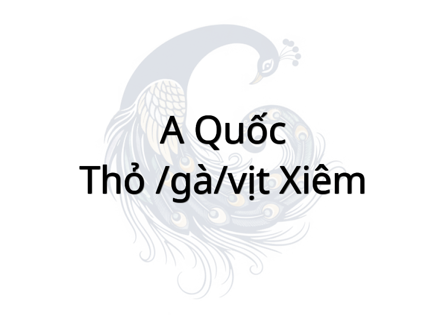 A Quốc - Thỏ /Gà/Vịt Xiêm