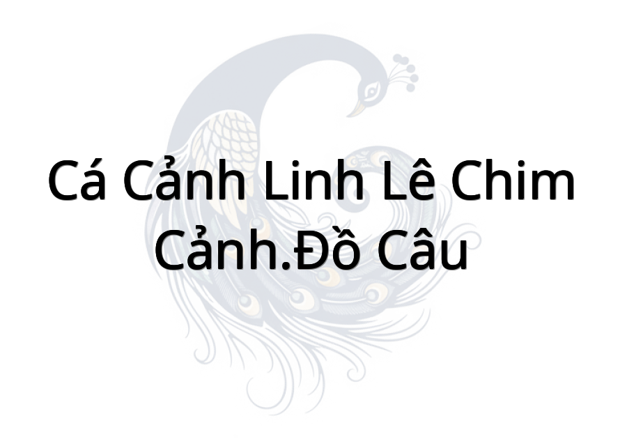 Cá Cảnh Linh Lê Chim Cảnh.Đồ Câu