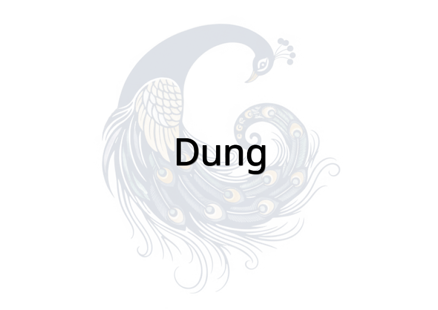 Dung