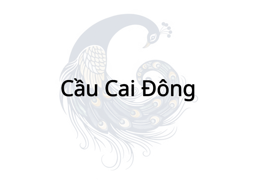 Cầu Cai Đông